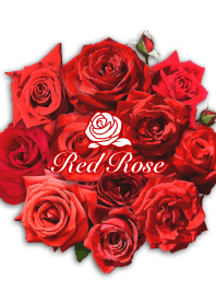 Red Rose 2