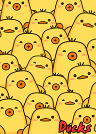 Happy duck doo doo
