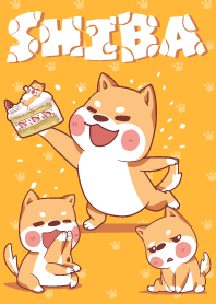 Shiba Naughty dog 4
