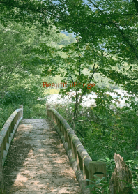 Beautiful-Bridge 31