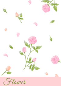 花 002 【玫瑰×粉紅色】