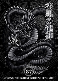 最強最高金運風水 漆黒の龍神 幸運の87