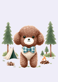Toy Poodle's Camping Fun