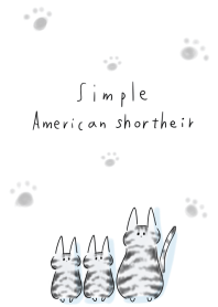 簡單的 美國短毛貓