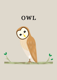 Barn Owl -ENG-