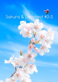 Sakura & Ladybird #2-3