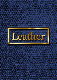 Blue Leather Theme WV