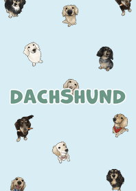 dachshund6 / light blue