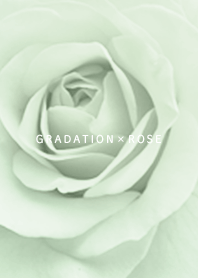 Rose and gradation green 03_2