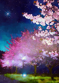 Beautiful night cherry blossoms#1970
