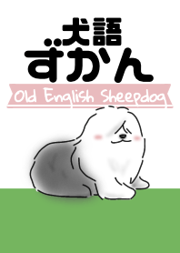 Dog Language Book(Old English Sheepdog)