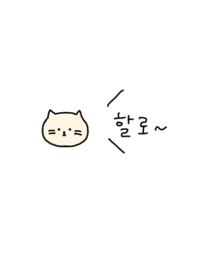 Hello_cat(Korea)