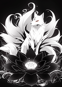 ⭐️暗夜黑蓮花神秘九尾狐❤️
