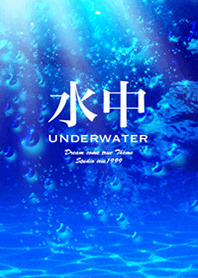 水中 Underwater Dolphin