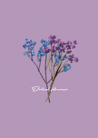 紫 : Dried Flower