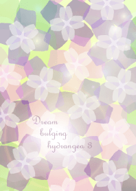 Dream bulging hydrangea 3