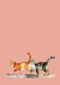 two cats on pink & blue JP