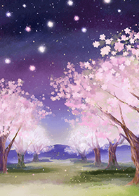 Beautiful night cherry blossoms#171