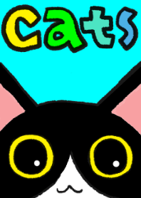 ねこ猫ネコ