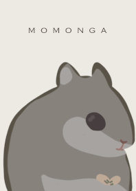 Flying squirrel MOMONGA