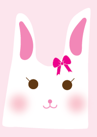 Cute rabbit theme v.2