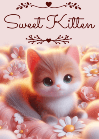 Sweet Kitten No.24