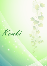 No.0082こうきの幸運を呼ぶ綺麗な着せかえ