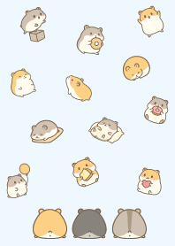 Cute fat hamster./11