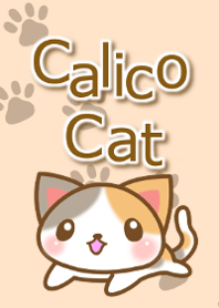 Calico cat