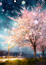 Beautiful night cherry blossoms#235