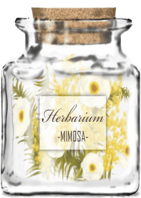 Herbarium -MIMOSA-