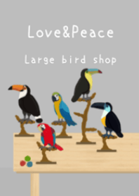 인기의 대형 조류 전문점 Open[bird Shop]
