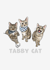 tabbycat2 / white smoke