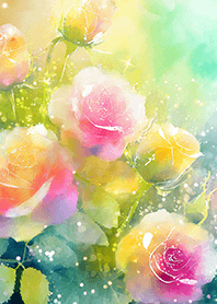 Beautiful rose flower(R2037)