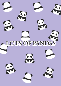 LOTS OF PANDAS/DUSTY PURPLE
