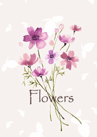 Cosmos flowers swaying in the breeze7.