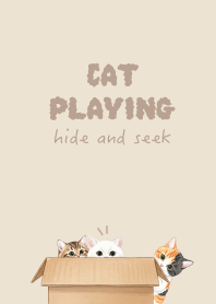 Cat hide and seek.6