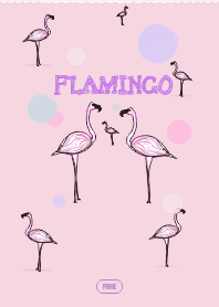 Flamingo Summer [PRIME]