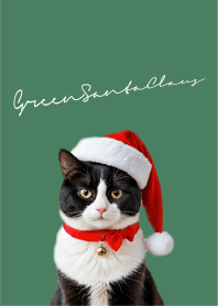Green - Santa Claus!