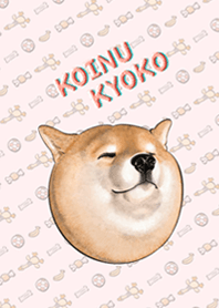 Shiba inu - Koinu Kyoko 2