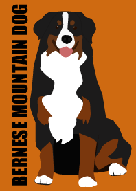 Bernese Mountain Dog Simple Theme