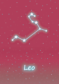 Wishing Constellation.Leo8