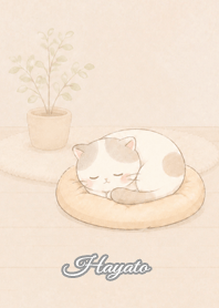 Cozy Lazy Cat: Hayato