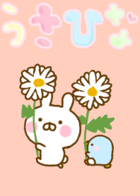 Rabbit Usahina friendly flower
