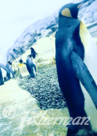 Famous penguins