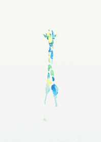 giraffe and giraffe