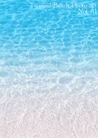 Tropical Beach Photo 313 Not AI