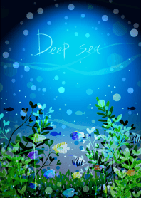 神秘の深い豊かな海