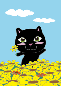 Black cat in the flower field Theme.