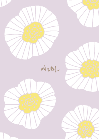 Simple white flowers adult25 from Japan